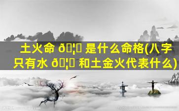 土火命 🦊 是什么命格(八字只有水 🦟 和土金火代表什么)